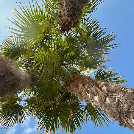 Domek alpejski Les Charmettes Mobilhome Neuf 3 Ch - 2 Sdb Climatise - Terrasse Totalement Abritee - Locsweethome