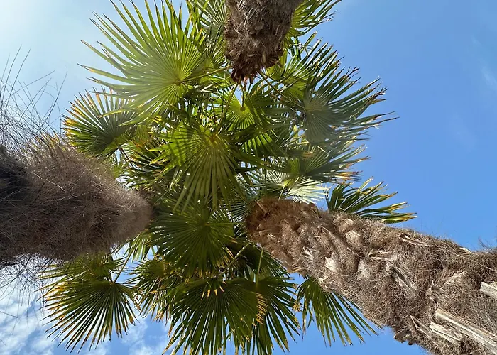 シャレー Les Charmettes Mobilhome Neuf 3 Ch - 2 Sdb Climatise - Terrasse Totalement Abritee - Locsweethome