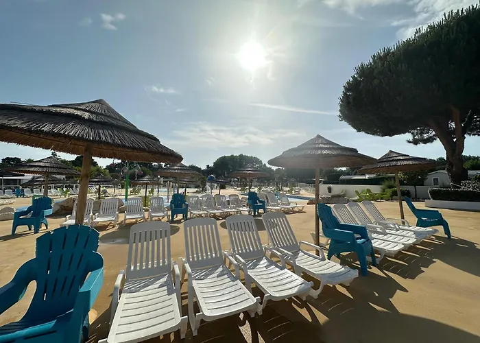 シャレー Les Charmettes Mobilhome Neuf 3 Ch - 2 Sdb Climatise - Terrasse Totalement Abritee - Locsweethome