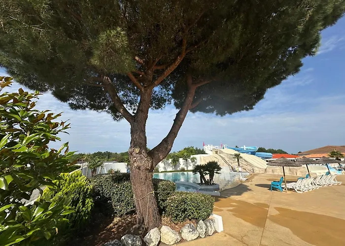 Les Charmettes Mobilhome Neuf 3 Ch - 2 Sdb Climatise - Terrasse Totalement Abritee - Locsweethome シャレー